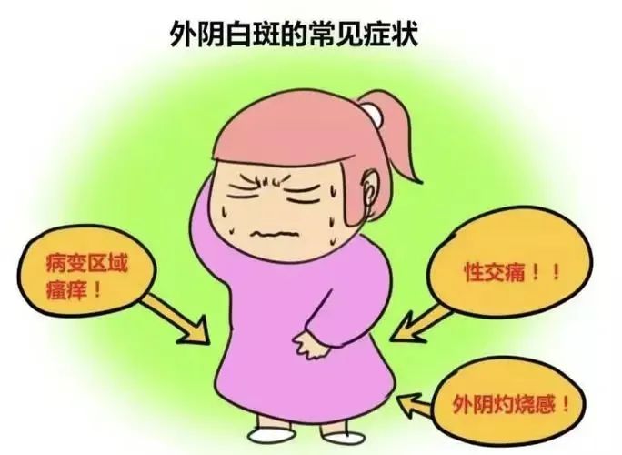 怎么判断自己是否得了外阴白斑?