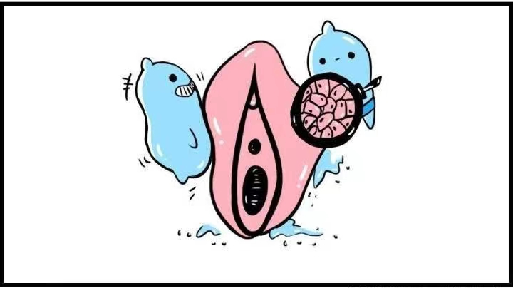 外阴白斑发病的病因有哪些？