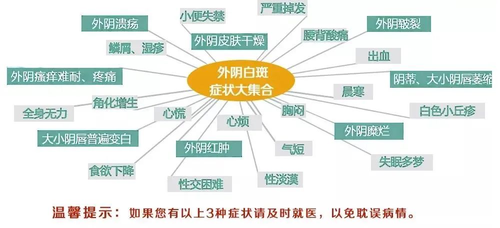 手术切除能根治外阴白斑吗?
