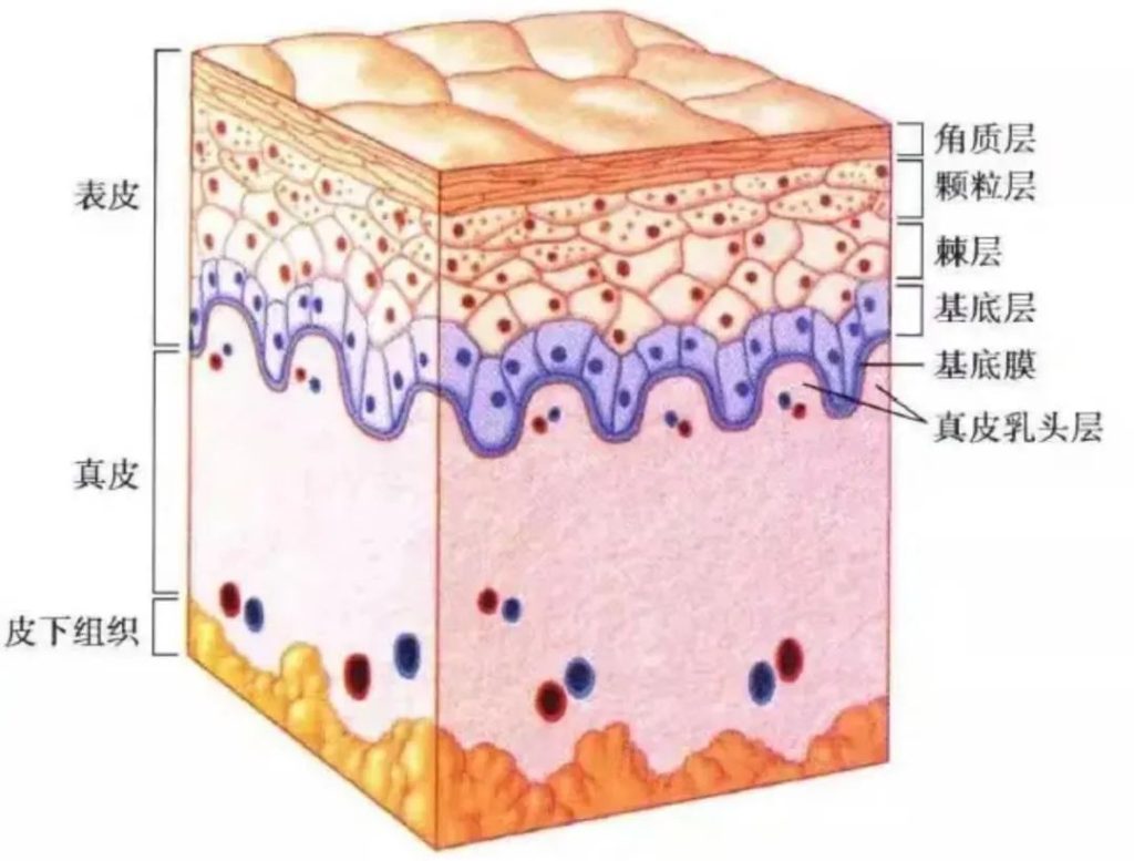 妇科凝胶能治疗外阴白斑吗?