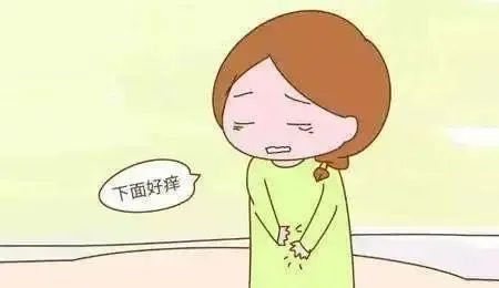 外阴瘙痒是阴道炎还是外阴白斑?
